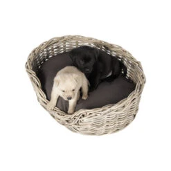 51 Degrees North Rattan Basket -Heimtierbedarf Angebote 51 degrees north rattan basket 209954 0500 none