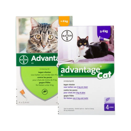 Advantage Katze - Image 2