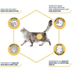 Affinity Advance Adult Salmon Sensitive - Katze -Heimtierbedarf Angebote affinity advance adult salmon sensitive kat 178666 0500 none