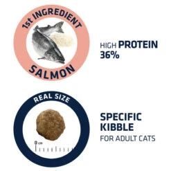 Affinity Advance Adult Salmon Sensitive - Katze -Heimtierbedarf Angebote affinity advance adult salmon sensitive kat 178669 0500 none