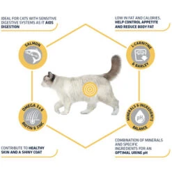 Affinity Advance Sterilized Salmon Sensitive - Katze -Heimtierbedarf Angebote affinity advance sterilized salmon sensitive kat 178282 0500 none