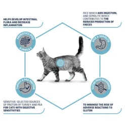 Affinity Advance Veterinary Diets Gastroenteric Sensitive Katze -Heimtierbedarf Angebote affinity advance veterinary diets gastroenteric sensitive kat 178045 0500 none