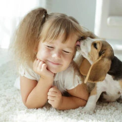 Beaphar Fiprotec Spray 9 Beaphar Fiprotec Spray -Heimtierbedarf Angebote beaphar fiprotec spray 213632 0500 none