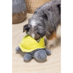 Beeztees Hide And Seek Schildo -Heimtierbedarf Angebote beeztees hide and seek schildo 221788 0500 none