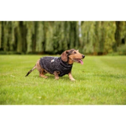 Beeztees Hundepullover Celia -Heimtierbedarf Angebote beeztees hondentrui celia 219140 0500 none