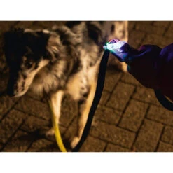 Beeztees Safety Gear Parinca Premium Hundeleine -Heimtierbedarf Angebote beeztees safety gear parinca premium hondenriem 215036 0500 none