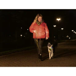 Beeztees Safety Gear Parinca Premium Hundeleine -Heimtierbedarf Angebote beeztees safety gear parinca premium hondenriem 215042 0500 none