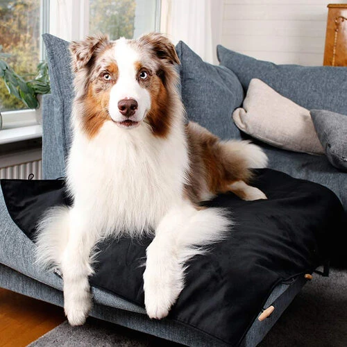 Bia Travel Outdoor Matratze 2 Bia Travel Outdoor Matratze - Image 2