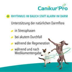 Canikur® Pro Diät-Ergänzungsfuttermittel Für Hunde -Heimtierbedarf Angebote canikur pro 213692 0500 none