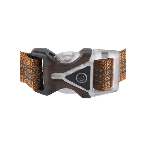 Carhartt Lighted Dog Collar 3 Carhartt Lighted Dog Collar - Image 3