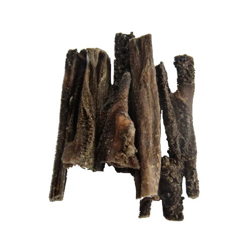 Competition Pansensticks 1 Competition Pansensticks