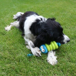 Coockoo Larry -Heimtierbedarf Angebote coockoo larry 216712 0500 none