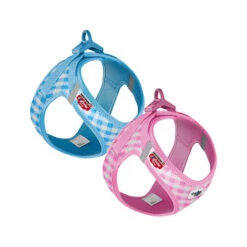 Curli Vest Harness Air-Mesh & Leash Puppy Set -Heimtierbedarf Angebote curli vest harness air mesh leash puppy set 221142 0500 none
