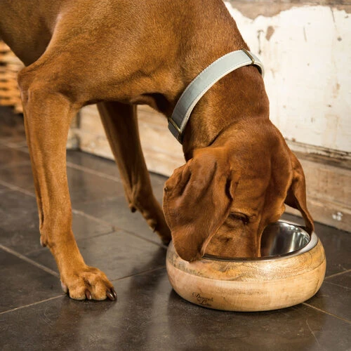 Designed By Lotte Futter- Und Trinknapf Mandira Aus Holz 5 Designed By Lotte Futter- Und Trinknapf Mandira Aus Holz - Image 5