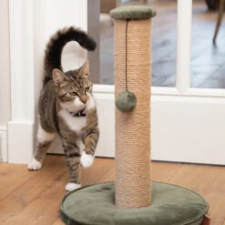 Designed By Lotte Kratzbaum Yenna -Heimtierbedarf Angebote designed by lotte krabpaal yenna 164437 0500 none