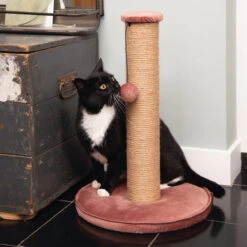 Designed By Lotte Kratzbaum Yenna -Heimtierbedarf Angebote designed by lotte krabpaal yenna 164443 0500 none