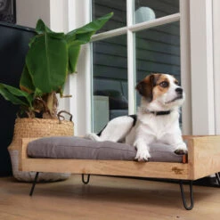 Designed By Lotte Hundebett Turana -Heimtierbedarf Angebote designed by lotte ligmand turana 170032 0500 none