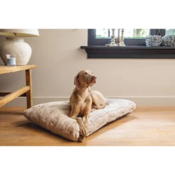 Designed By Lotte Xanti Hundekissen -Heimtierbedarf Angebote designed by lotte xanti hondenkussen 188124 0500 none