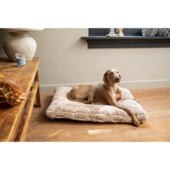 Designed By Lotte Xanti Hundekissen -Heimtierbedarf Angebote designed by lotte xanti hondenkussen 188127 0500 none