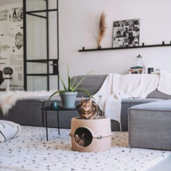 District 70 Bunker 12 District 70 Bunker -Heimtierbedarf Angebote district 70 bunker 190954 0500 none