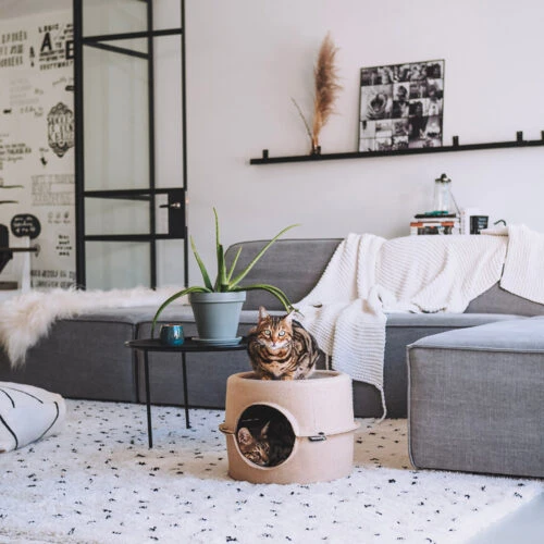 District 70 Bunker 5 District 70 Bunker - Image 5