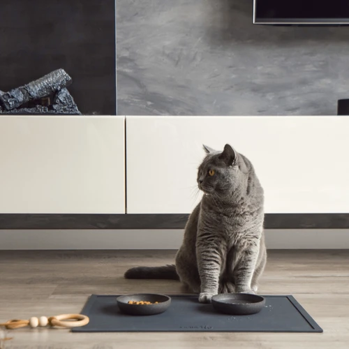 District 70 Serve Placemat 9 District 70 Serve Placemat - Image 9