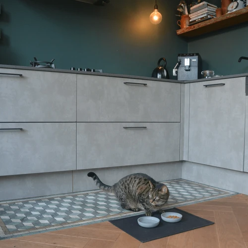 District 70 Serve Placemat 10 District 70 Serve Placemat - Image 10