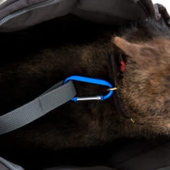 Doctor Bark Hundetragetasche -Heimtierbedarf Angebote doctor bark honden draagtas 202157 0500 none