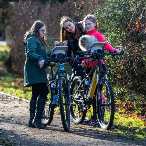 Dogrider Dog Seat + Korb - Grau 2 Dogrider Dog Seat + Korb - Grau - Image 2