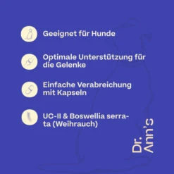 Dr. Ann's Mobility Support Advanced -Heimtierbedarf Angebote dr anns mobility support advanced 213137 0500 none