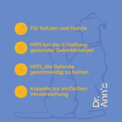 Dr. Ann's Mobility Support Plus -Heimtierbedarf Angebote dr anns mobility support plus 203063 0500 none