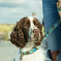 DWAM Halsband Boho Juan -Heimtierbedarf Angebote dwam halsband boho juan 133658 0500 none