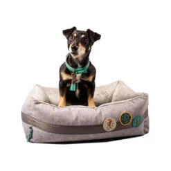 DWAM Jungle Love Korb 7 DWAM Jungle Love Korb -Heimtierbedarf Angebote dwam jungle love mand 186595 0500 none