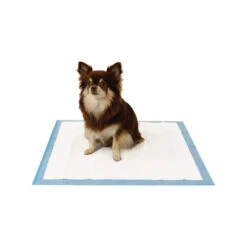 Easypets Trainingpads -Heimtierbedarf Angebote easypets trainingspads 184186 0500 none