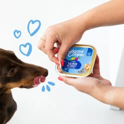 Edgard & Cooper Adult - Lachs Und Truthahn - Schale -Heimtierbedarf Angebote edgard cooper adult zalm kalkoen kuipje 208616 0500 none