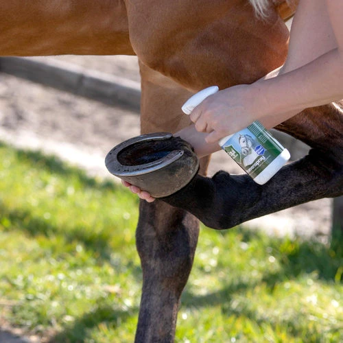 Equi Protecta Huf-Spray 3 Equi Protecta Huf-Spray - Image 3