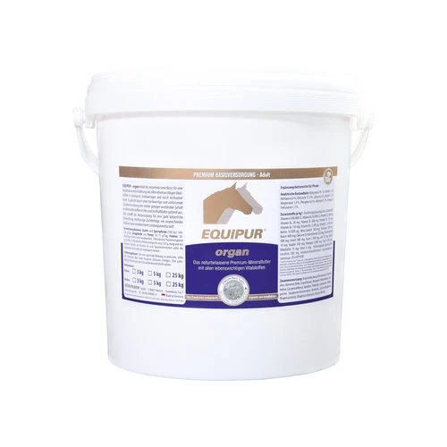 Equipur Organ 1 Equipur Organ