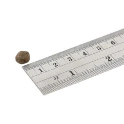 Fish4Dogs Finest Adult Complete - Lachs Kleine Brocken -Heimtierbedarf Angebote fish4dogs finest adult complete zalm kleine brok 160949 0500 none