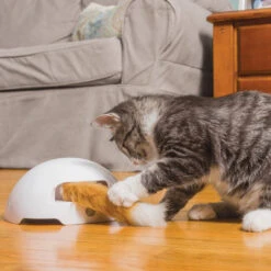 FroliCat Fox -Heimtierbedarf Angebote frolicat fox 136594 0500 none