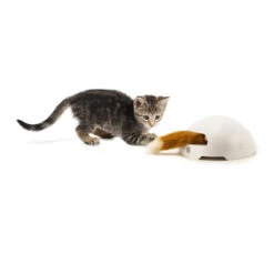 FroliCat Fox -Heimtierbedarf Angebote frolicat fox 136600 0500 none