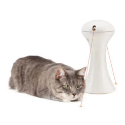 FroliCat Multi-Laser -Heimtierbedarf Angebote frolicat multi laser 136612 0500 none
