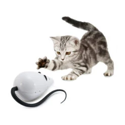 FroliCat RoloRat -Heimtierbedarf Angebote frolicat rolorat 136585 0500 none