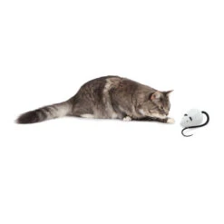 FroliCat RoloRat -Heimtierbedarf Angebote frolicat rolorat 136588 0500 none