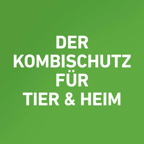 Frontline Combo Gegen Zecken, Flöhe (Flöhe, Eier, Larven, Puppen) Bei Hunden 16 Frontline Combo Gegen Zecken, Flöhe (Flöhe, Eier, Larven, Puppen) Bei Hunden - Image 16