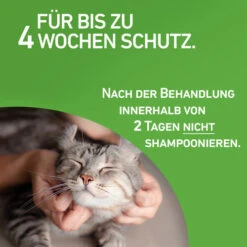 Frontline Combo Spot On Katze -Heimtierbedarf Angebote frontline combo spot on kat 208217 0500 none