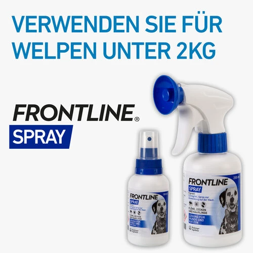 Frontline Spray Gegen Zecken Und Flöhe Für Hunde Und Katzen 6 Frontline Spray Gegen Zecken Und Flöhe Für Hunde Und Katzen - Image 6
