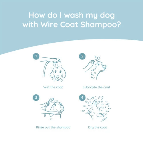 Greenfields Dachshund Care Set 2 Greenfields Dachshund Care Set - Image 2