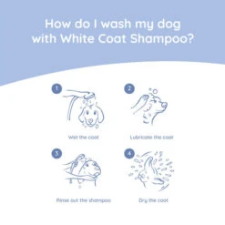 Greenfields Malteser Care Set -Heimtierbedarf Angebote greenfields malteser care set 220905 0500 none