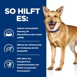 Hill's I/d Digestive Care Ragout - Prescription Diet - Canine 14 Hill's I/d Digestive Care Ragout - Prescription Diet - Canine -Heimtierbedarf Angebote hills id digestive care stoofpotje prescription diet canine 212054 0500 none