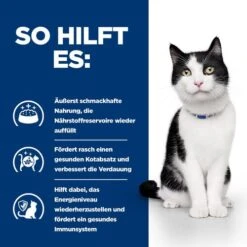Hill's I/d Digestive Care Ragout - Prescription Diet - Feline 10 Hill's I/d Digestive Care Ragout - Prescription Diet - Feline -Heimtierbedarf Angebote hills id digestive care stoofpotje prescription diet feline 212129 0500 none